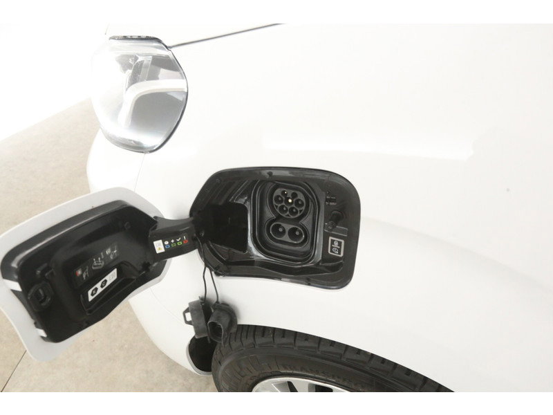 Toyota PROACE Electric Worker