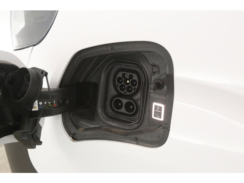 Toyota PROACE Electric Worker